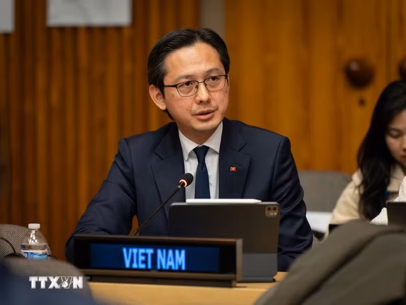 越南常驻联合国代表团团长杜雄越大使。（图片来源：越通社）