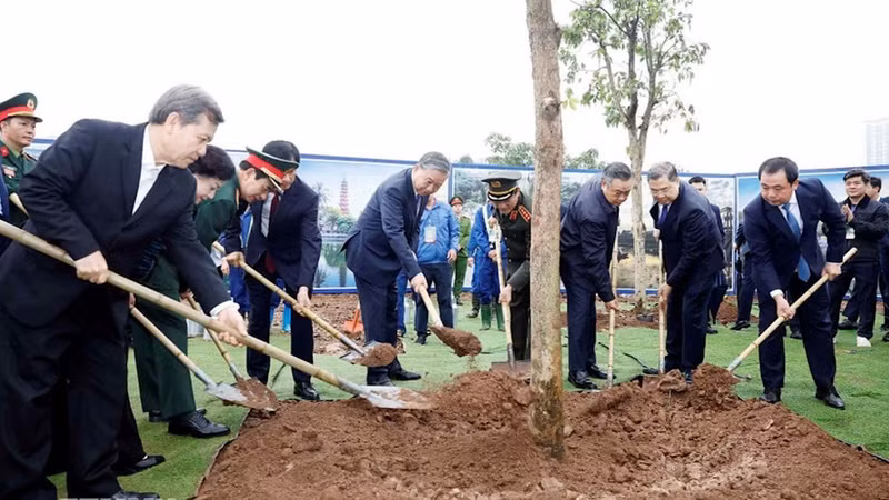 越共中央总书记苏林出席“世世代代铭记胡志明主席功勋”植树节启动仪式。