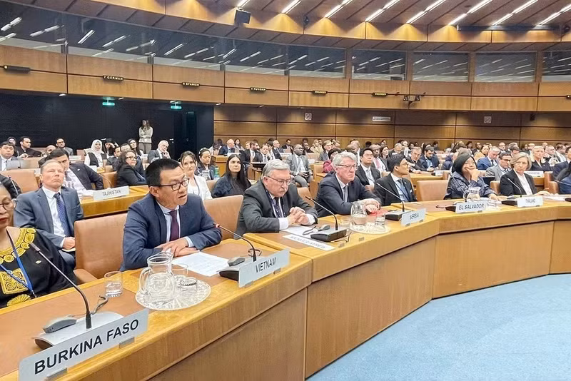 越南常驻联合国及维也纳国际组织代表团团长武黎泰黄大使。