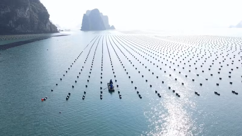 推动海洋经济'走向大洋'。