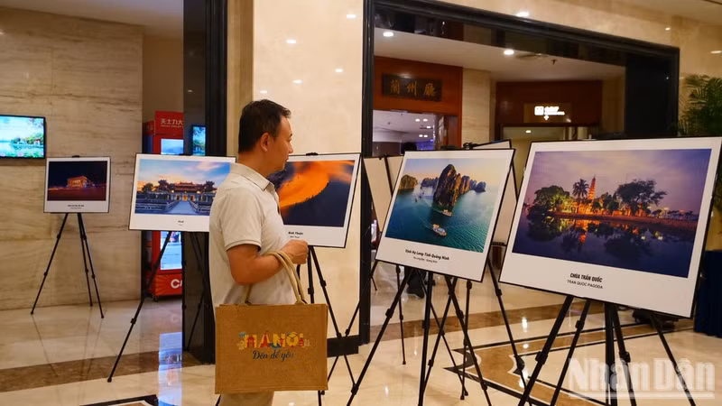 一名游客了解越南旅游目的地信息。（微沙 摄）