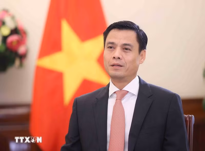 越南外交部副部长邓黄江。（图片来源：越通社）