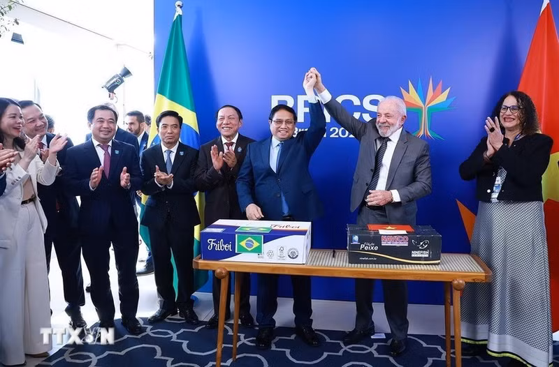 范明正总理与卢拉·达席尔瓦总统共同见证了首批从巴西出口至越南的冷藏牛肉集装箱启运仪式。（图片来源：越通社）
