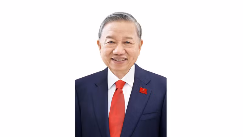 越南共产党第十四届中央委员会总书记苏林。