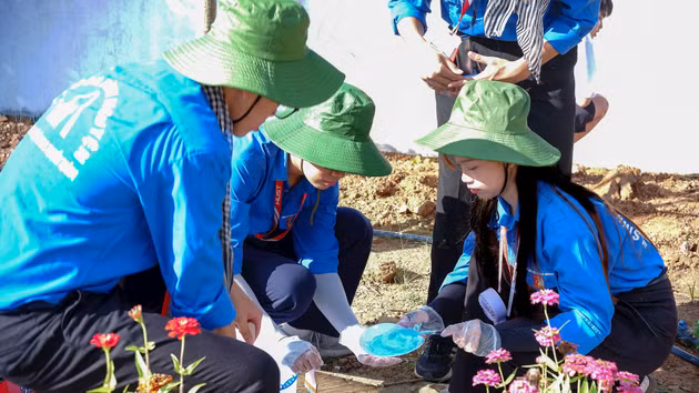 2026年夏季青年志愿服务行动：展现全国青年的先锋精神和担当作为【图表新闻】
