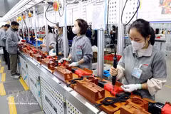 越南兴安省太瑞乡Keystone Electrical越南工厂项目的工人正在生产手持式电动工具 。（图片来源：越通社）