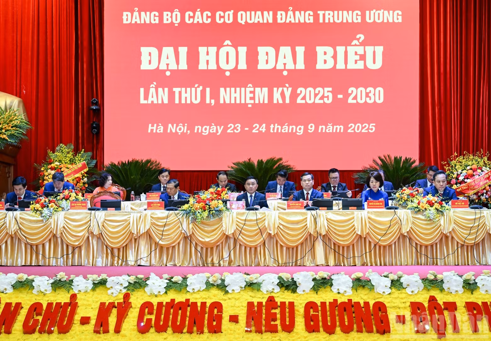 image-7.jpg