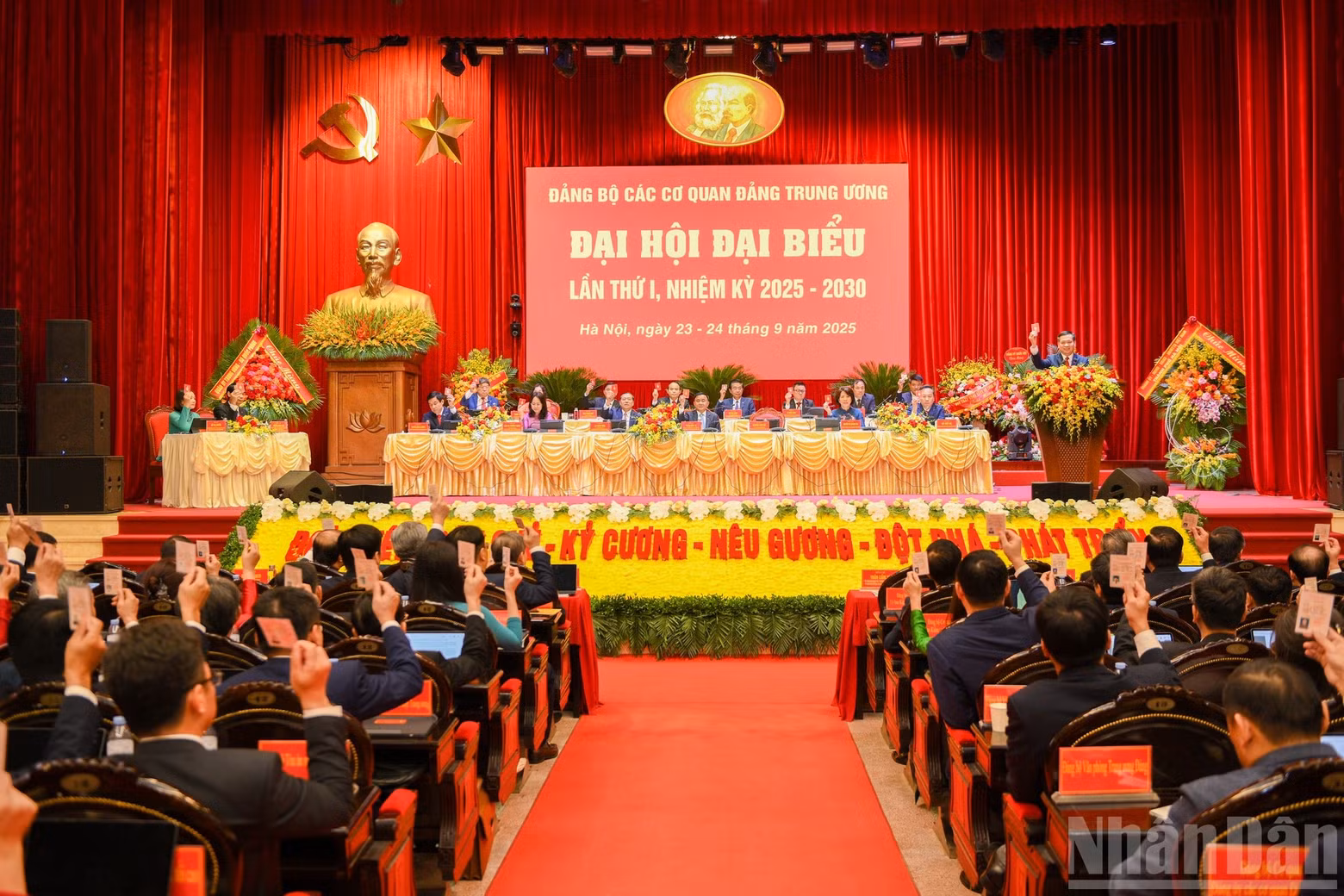 image-24.jpg