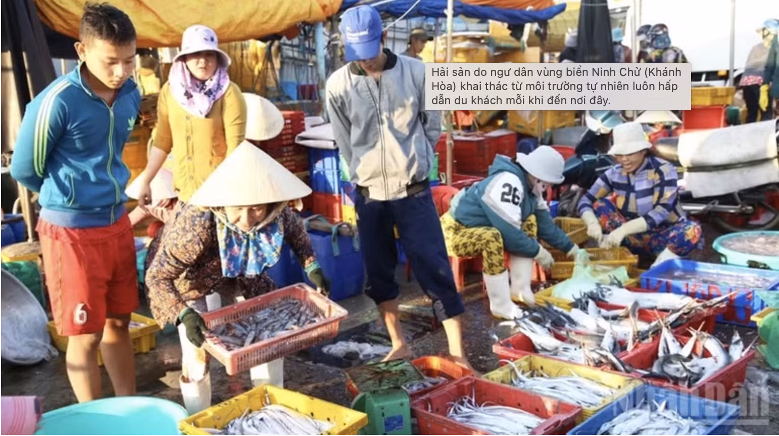 anh-chup-man-hinh-2026-03-31-luc-225741.png