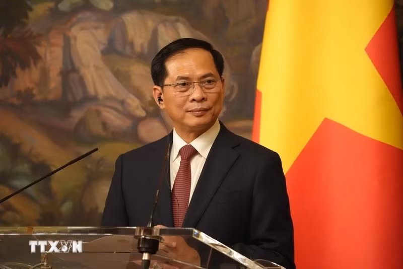 越南政府副总理裴青山发言。（图片来源：越通社）