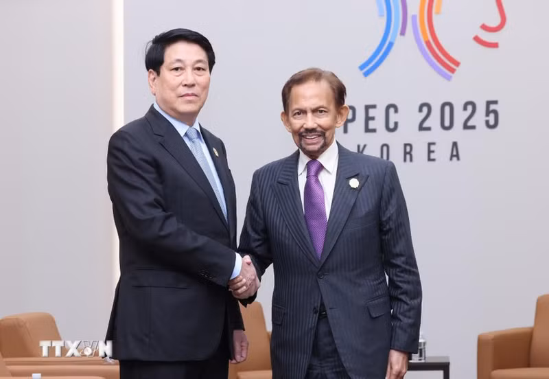 越南国家主席梁强会见文莱达鲁萨兰国苏丹哈吉·哈桑纳尔·博尔基亚。