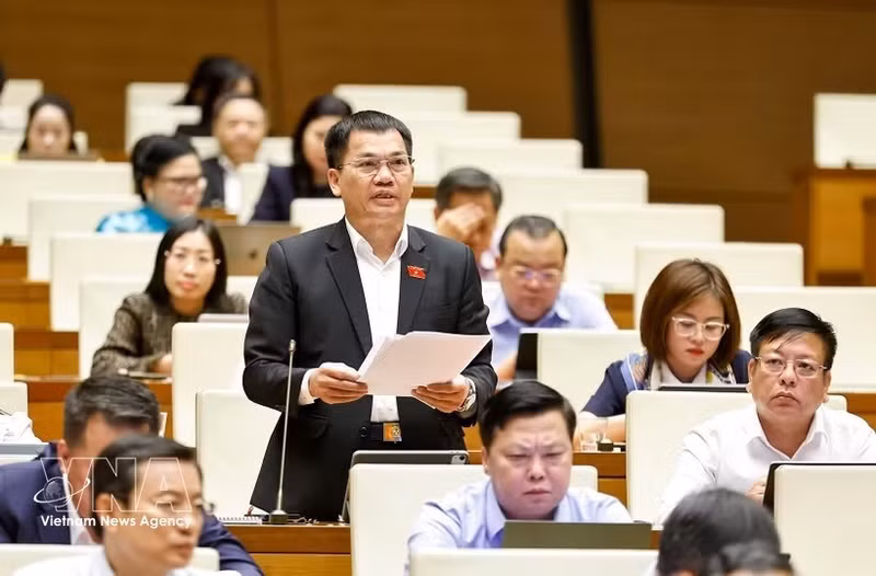 林同省代表杨克梅发表意见。（图片来源：越通社）
