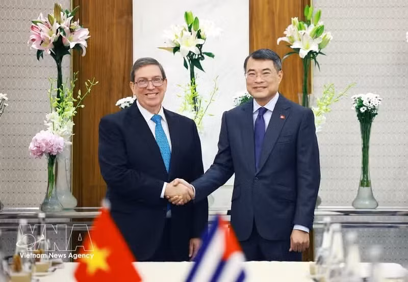 越南政府总理黎明兴会见古巴外交部长布鲁诺·罗德里格斯·帕里利亚。（图片来源：越通社）