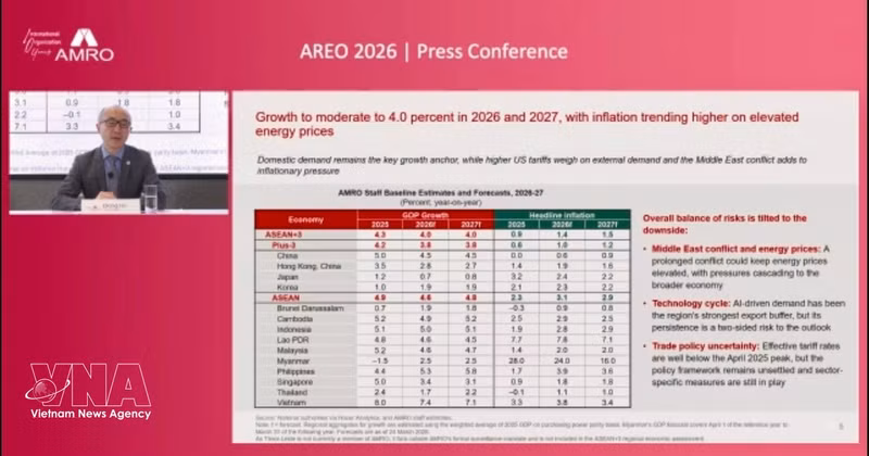 AMRO首席经济学家何东表示，越南较好地应对了去年美国关税政策带来的冲击。