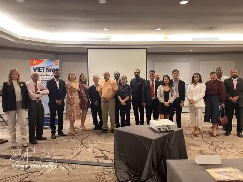 出席在巴拿马首都巴拿马城举行的“越南-巴拿马：出口潜力与企业合作机遇”研讨会的代表。（越南驻墨西哥兼驻巴拿马商务处供图）