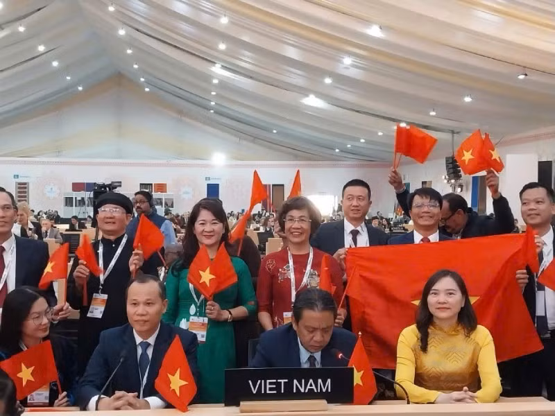 越南代表团。