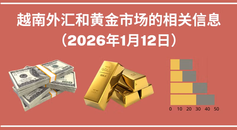 越南外汇和黄金市场的相关信息【图表新闻】