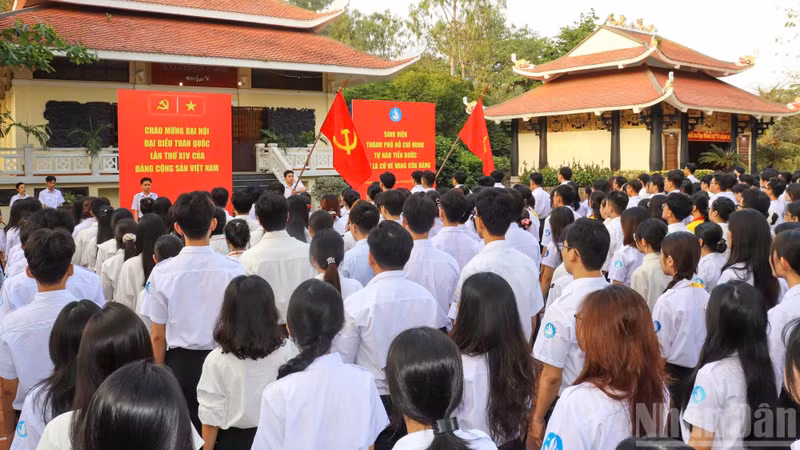 hcm3.jpg