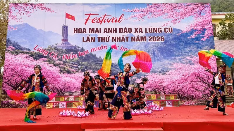 龙鼓乡2026年樱花节开幕。