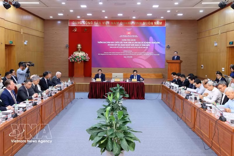 越共中央政治局委员、中央书记处书记、中央政策战略部部长阮青毅在会上发表讲话。（图片来源：越通社）