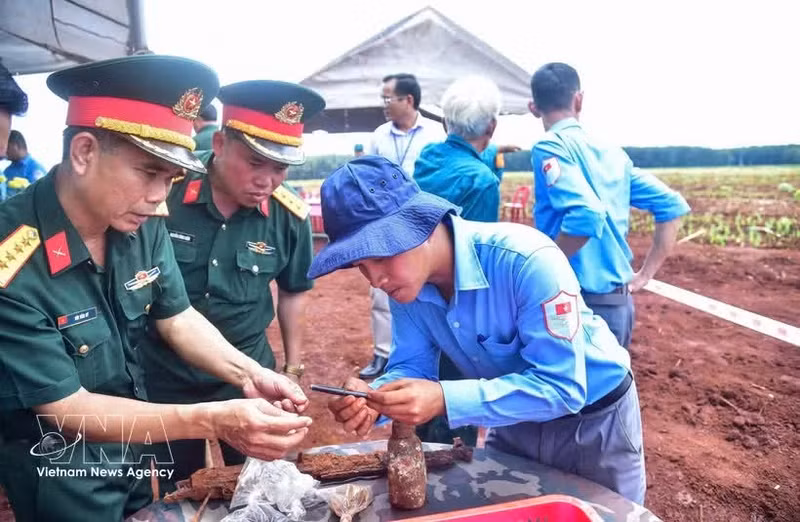 同奈市军事指挥部K72队在明德乡一处空地发现了一座集体墓和多件遗物。（图片来源：越通社）