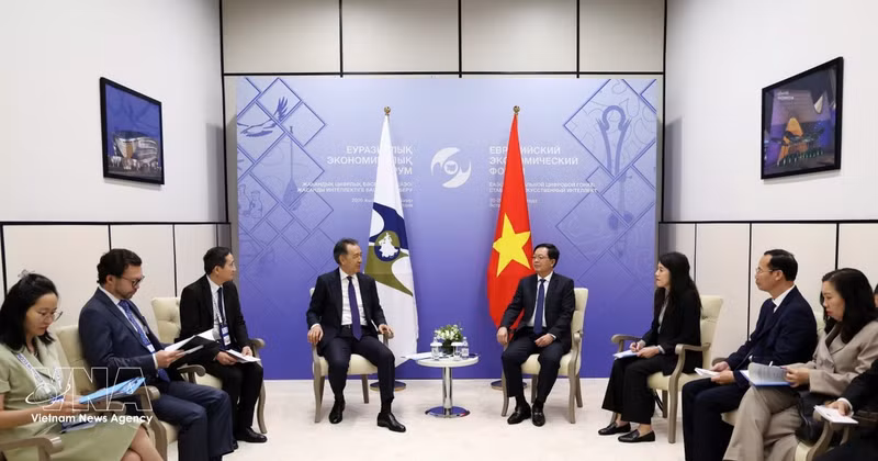 越南政府副总理胡国勇会见白俄罗斯副总理娜塔莉亚·佩特克维奇。（图片来源：越通社）