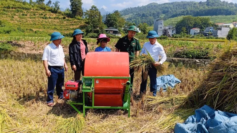 边防干部同宣光省各乡领导一道检查评估秋季水稻产量与收成情况。