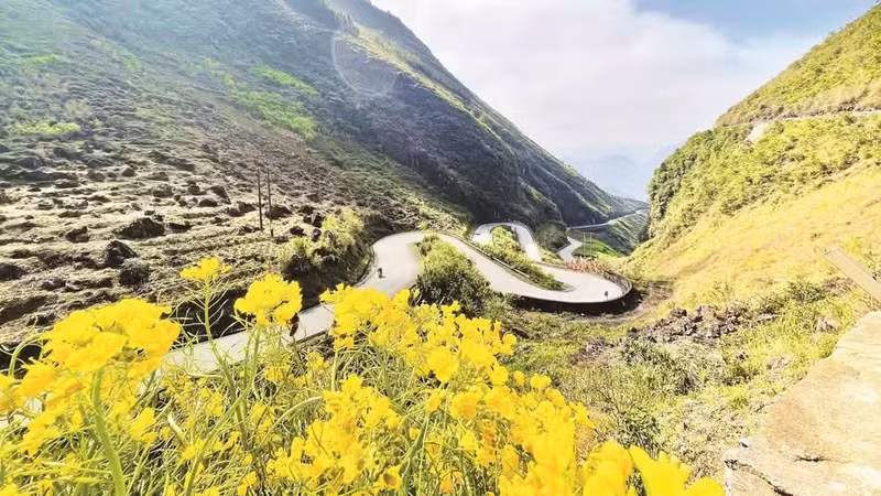 赴宣光省旅游的游客总会被沈马坡的独特景观所吸引。
