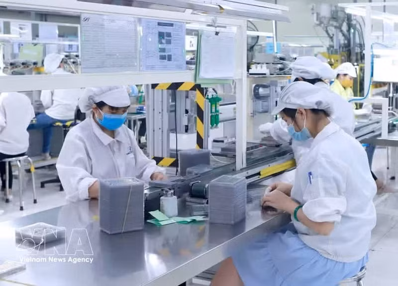 附图。（图片来源：越通社）
