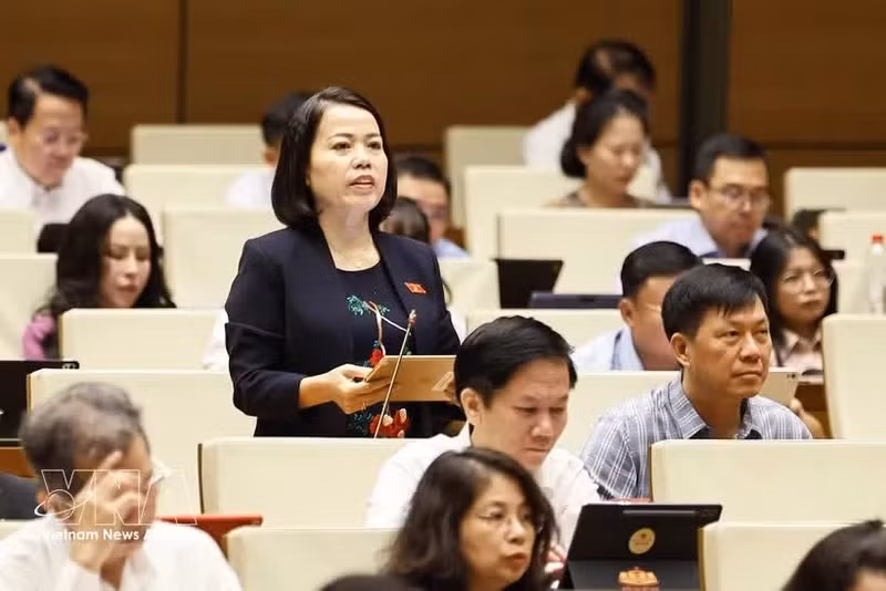宣光省国会代表发表讲话。（图片来源：越通社）