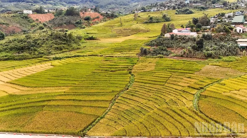 新广义省地域辽阔，从高山、边境到海岛，山海相连，风光壮丽，为将旅游业打造成为新阶段经济增长的重要动力奠定了坚实基础。
