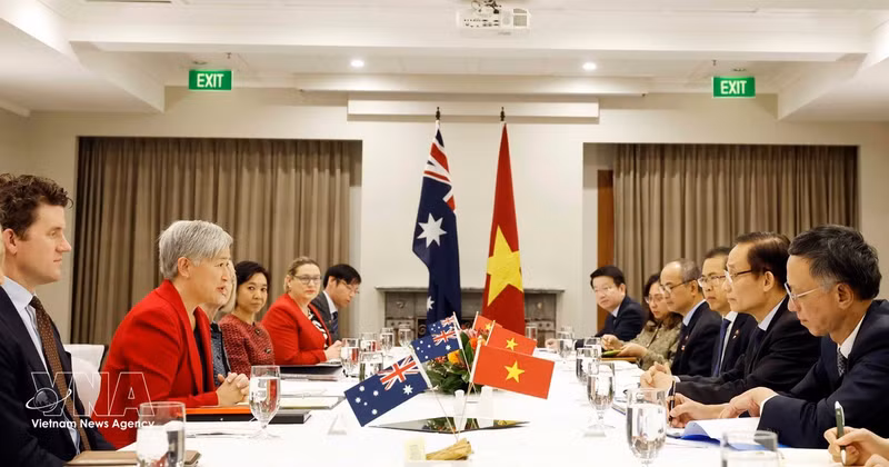 会议场面。（图片来源：越通社）