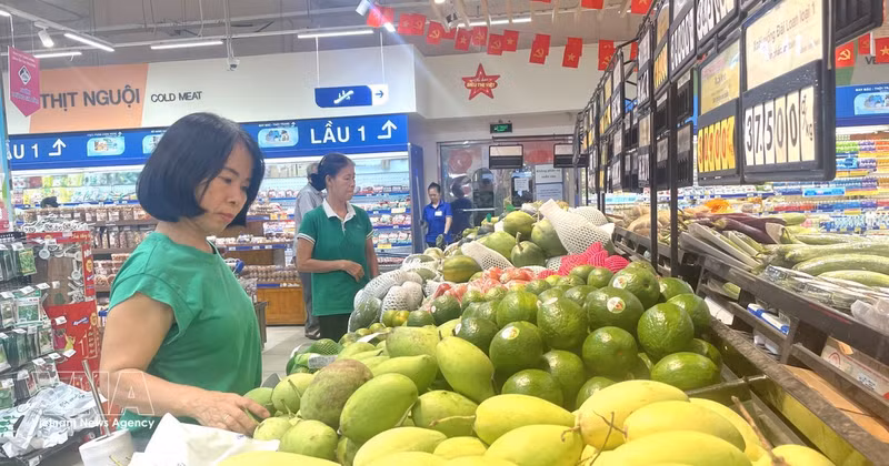 附图。（图片来源：越通社）