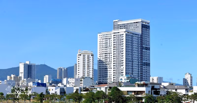 附图。（图片来源：越通社）