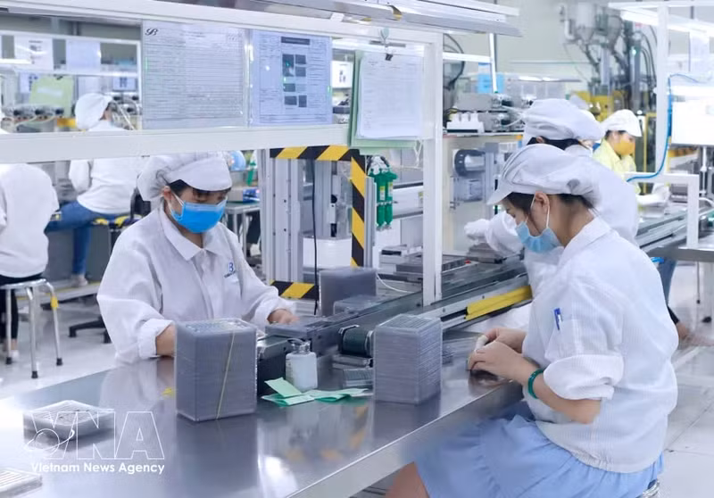 附图。（图片来源：越通社）