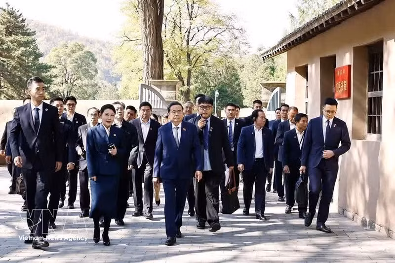 越南国会主席陈青敏和越南高级代表团参观枣园革命旧址书记处会议室。（图片来源：越通社）