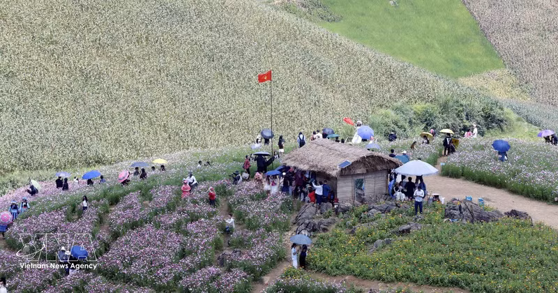 8月31日至9月2日，山罗省人民委员会在山罗省龙萨乡龙萨口岸区域举行文化、体育和旅游活动，吸引了众多越南和老挝边境地区的游客和民众参与。（图片来源：越通社）