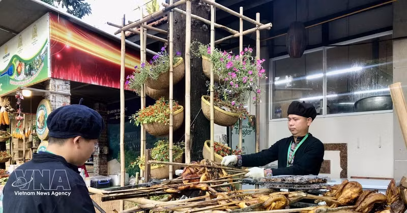 附图。（图片来源：越通社）