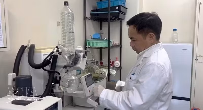 广岛大学 IDEC 研究院农业与生物技术专业陈登春教授。（图片来源：越通社）