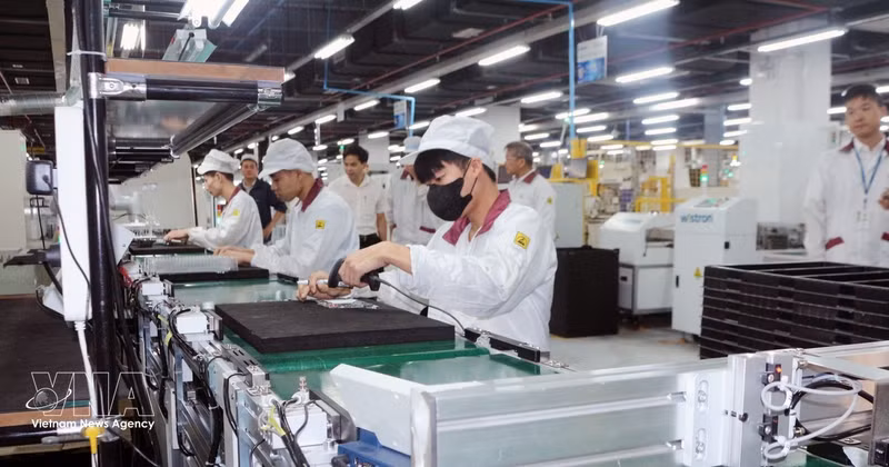 附图。（图片来源：越通社）