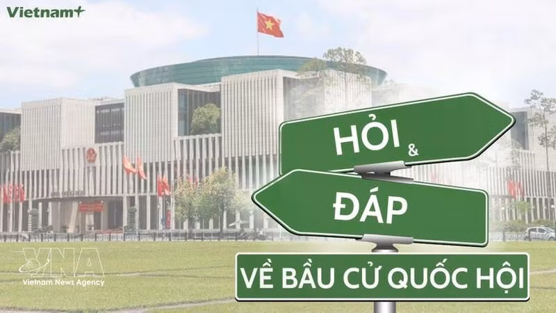 附图。（图片来源：越通社）