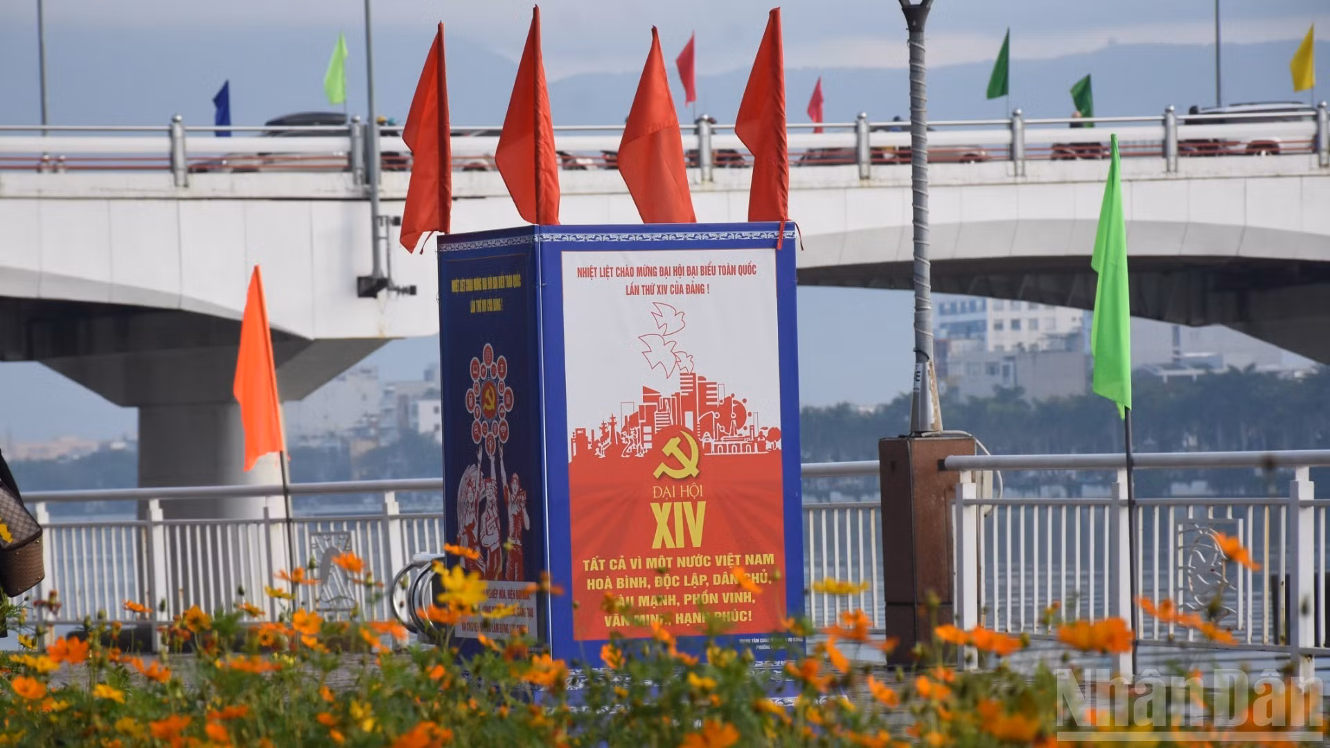d7.jpg