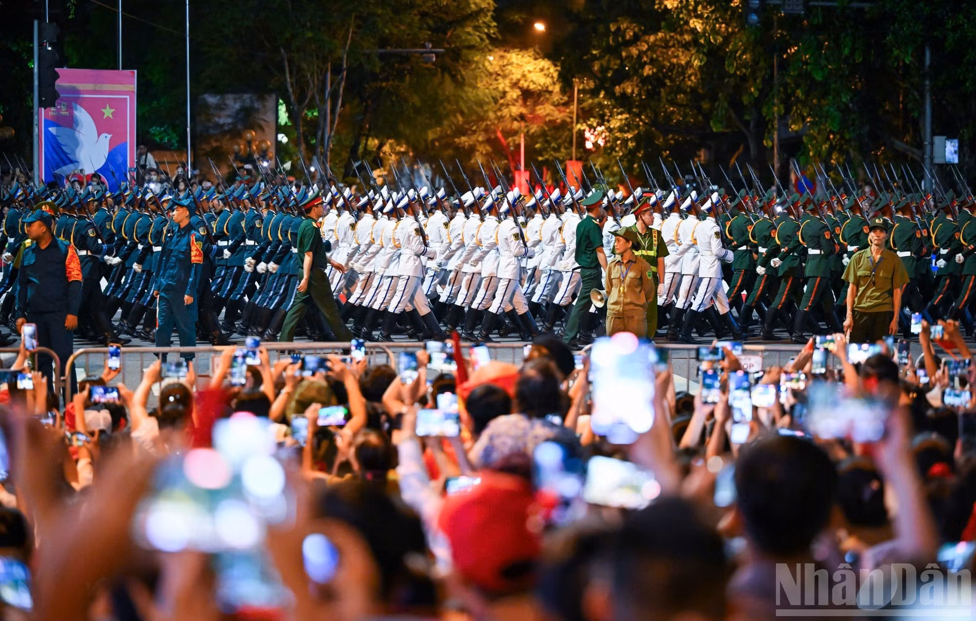 a2.jpg
