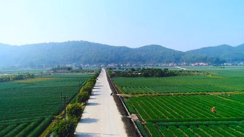 附图。