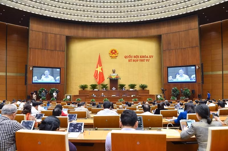 会议全景。