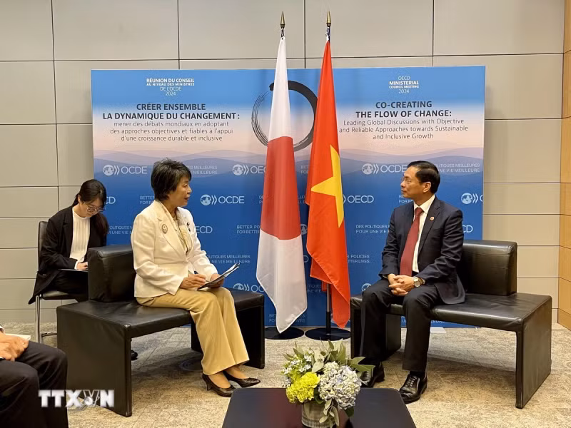 裴青山部长会见日本外务大臣上川阳子。（图片来源：越通社）