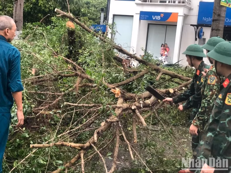 河东郡福罗坊所有公务员、基层保安部队、警察、民兵和自卫队参加克服台风后果。