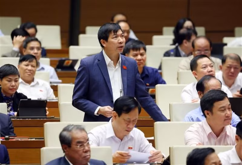 清化省国会代表发表讲话。