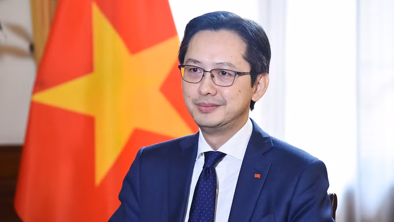 越南外交部副部长杜雄越。