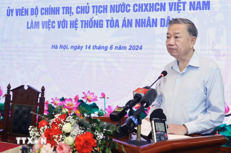 苏林主席在会上发表讲话。（图片来源：越通社）